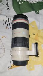 Canon EF 70-200mm F4 L IS USM 小小白