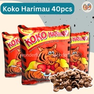 WF Koko Harimau Chocolate Flavoured Crackers 40pcs Halal (SMALL)