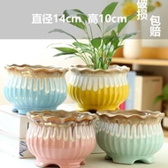 Potter Plants - Pot Bunga Keramik Tanaman Hias Ukuran Besar 1 Set Isi