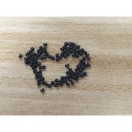 A1278 Keyboard Screws