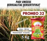 Benih padi inpari 32 promeo berkualitas kemasan 5kg