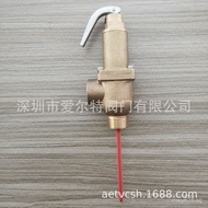 Manufacturer Safety Valve t Valve Direct Supply PT Temperature p Pressure Industry DN25Electric Wate