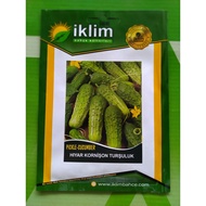 Pickle-Cucumber (Timun) seed by BIRTAS (Turki)