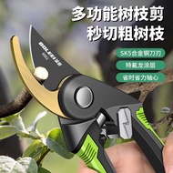 Pruning Shears Gardening Shears Pruning Shears Branches Special Shears Garden Pruning Fruit Tree Pru