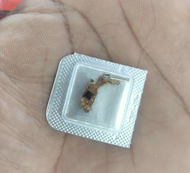 Ic Mesin Jam Tangan 121 Ic y121 Original alat servis jam tangan