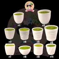 🔥Ready Stock🔥Plastic Vase with green moss good quality/Pasu Plastik dengan green moss🔥Pasu bunga hia