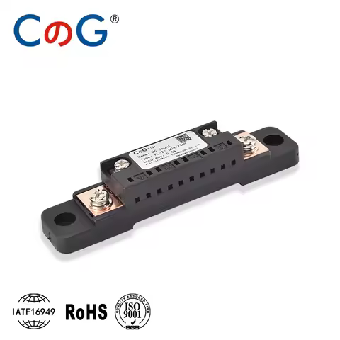 CG FL-2C Shunt 10A 20A 50A 100A 150A 200A 300A 400A 500A 600A 750A 75mV DC Manufacturer With Base Am