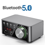 Digital HiFi  Bluetooth 5.0 Power Class D Amplifier Audio Amp 100W Home Theater Car Marine USB TF-Card AUX IN  50W*2 Tpa3116