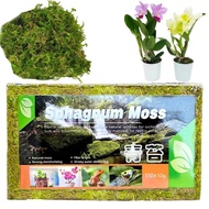 Plant Sphagnum Moss 150g Natural Moss Potting Mix Nutrition Organic Fertilizer Soil Plant Growth DIY Flower Pot Potting Mix