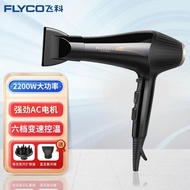 (((FLYCO) Hair Dryer Household High-Power Hair Dryer Travel Negative Ion Hair Dryer Cold Barber Shop