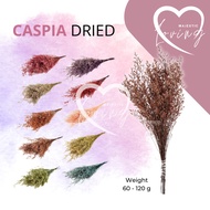 60-120G Caspia Dried Flower  / Real Dancing Flower  / Bouquet Flower / Bunga Hiasan FDF05