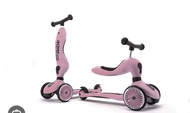 Scoot and Ride  2 in 1  兒童滑板二合一車