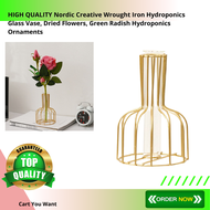 HIGH QUALITY Nordic Creative Wrought Iron Hydroponics Glass Vase, Dried Flowers, Green Radish Hydroponics Ornaments, Living Room Desktop Decoration