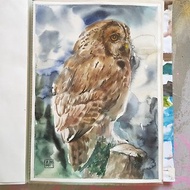Owl - artwork hand painted Watercolor painting on paper