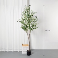Inspy ต้นโอลีฟ ต้นมะกอกปลอม สูงขนาด มี 5 ขนาดให้เลือก ต้นไม้ตกแต่งบ้าน Olive Tree
