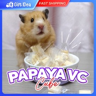 Hamster Rabbit Papaya Fruit VC Cube Tablet Vitamin Supplement 木瓜化毛丸