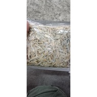 BILIS KOPEK SANDAKAN