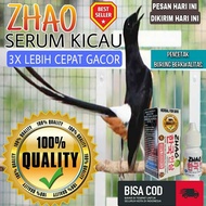 Ginseng korea Multivitamin Penggacor Gacor Burung Kicau Murai Batu Atp Masteran Doping Murai Batu //
