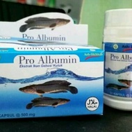 pro albumin ikan gabus BPOM
