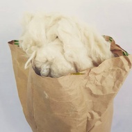 Kekabu Asli Pokok tanpa biji Gred 8A Siam(Thailand) Kekabu Asli Kuning 1kg / 2kg