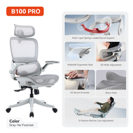 SIHOO B100 PRO Ergonomic Office Chair Full Mesh Lumbar Support 3D Adjustable Headrest 西昊人体工学椅 - 3 Ye