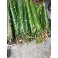 Daun Lerek Lemang Padu Murah
