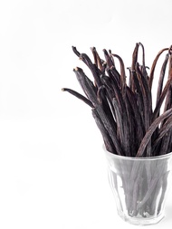 PTR VANILLA BEANS / VANILI KERING 1 KG