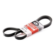 Front Engine Belt 6PK BMW E60 540i 550i E65 E66 735i 740i 750i X5 E53 N62 CARAVELLE T5 2.0TDI