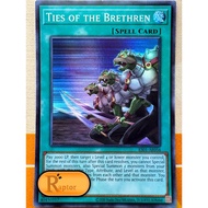 ES01-AE056 : Ties of the Brethren [Super Rare] (Yu-Gi-Oh Asia English : Authentic)-[RaptorzCards]