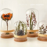 Micro Landscape Preserved Flower Specimen Retro Decoration Sunflower Dried Flower Plant Living Room 