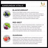SALE VITALIC - Herbal Vitalitas Pria BPOM