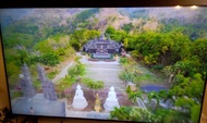 移民49吋Sony智能電視超薄4k smart TV 附帶遙控youtube睇片方便快捷可下載連接不同應用程式