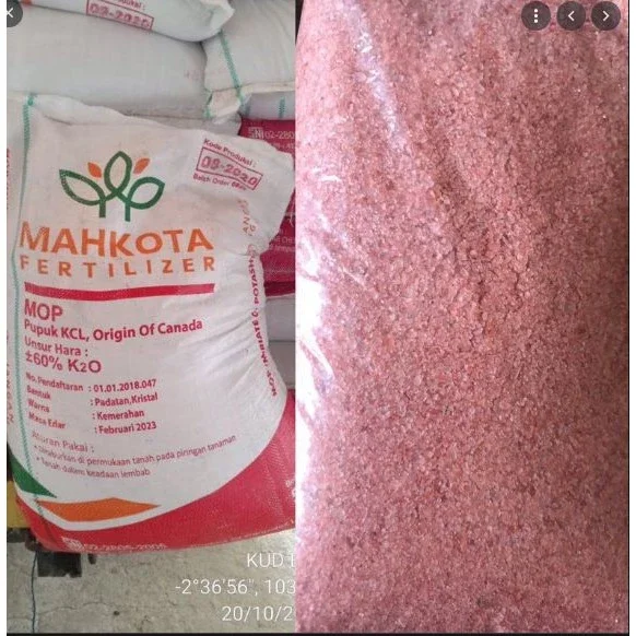Pupuk KCL untuk tanaman kemasan 1kg