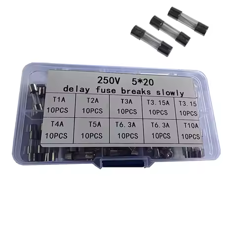 100PCS Slow Break 5*20mm Delay Fuse Tube 250V T1A T2A T3.15AT4A T5A T6.3A T10A Box Spiral Wire Glass