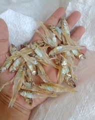 ikan asin teri serba 10ribu murah teri daging jengki besar keciil / teri nasi / teri medan / teri re