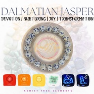 DALMATIAN JASPER NATURAL CRYSTAL GEM STONE BRACELET ACCESSORIES