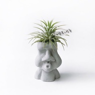(預購) 人氣熱銷 | 變異小精靈 空氣鳳梨 可搭配摩艾水泥擺飾