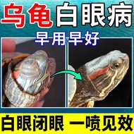 Turtle Eye Drop 乌龟眼药水 乌龟药 乌龟药水 Reptile Drops Sulcata Tortoise Medicine Supplement 烏龜眼藥水 Ubat Mata Ku