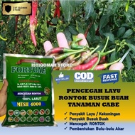 Pupuk Kalsium FORTUNE 1 KG Pupuk Pencegah Rontok Buah Cabe Cabai Ampuh - Obat Pencegah Rontok Buah C