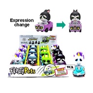 Feisty Pets Vehicle (Assorted designs)