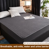 1103 【Manila stock, COD】DreaMe Mattress Protector Cover Cadar Elastic Queen Size King Single Fitted 