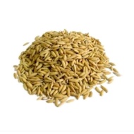 5Kg of Rice (Rice) Food for Chickens, Ducks, Birds...