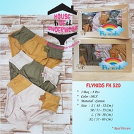 FLYKIDS BOYS' UNDERWEAR FK 520 CONTENTS 3