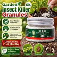 imidacloprid racun serangga | Soil Insecticide for Succulents & Flowers | Systemic Control for Mealy