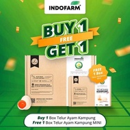 [BUY 1 GET 1 FREE] Organic MINI Free Range Chicken Eggs Free 1 Box MINI HT Village Eggs