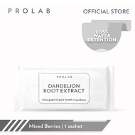 PROLAB Dandelion Root Powder Extract Wellbeing Vitamins & Supplements for Detox Slimming Weight Loss