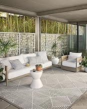 Loloi II Rainier Collection RAI-03 Natural / Ivory, Indoor/Outdoor 2'-3" x 7'-7" Runner Rug