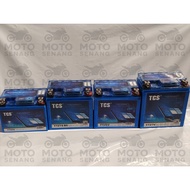 TCS SMART BATTERY BLUETOOTH MOBILE APP CHECK BATTERY STATUS CONDITION ALARM FOR ABNORMAL VOLTAGE 9 M