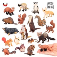 Simulation Animal Model Squirrel Mole Raccoon Red Panda River Otter Otter Tree Ferret Cognitive Plas