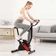 skylinker Indoor Upright Stationary Bike Exercise Bike ...